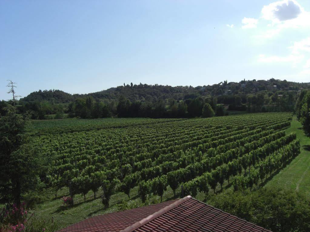 Il Vigneto Affittacamere Manerba del Garda Exterior foto